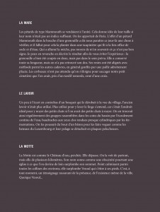 http://www.oliviercharpentier.com/files/gimgs/th-20_Texte planches pour site grisCORRIGE-5.jpg